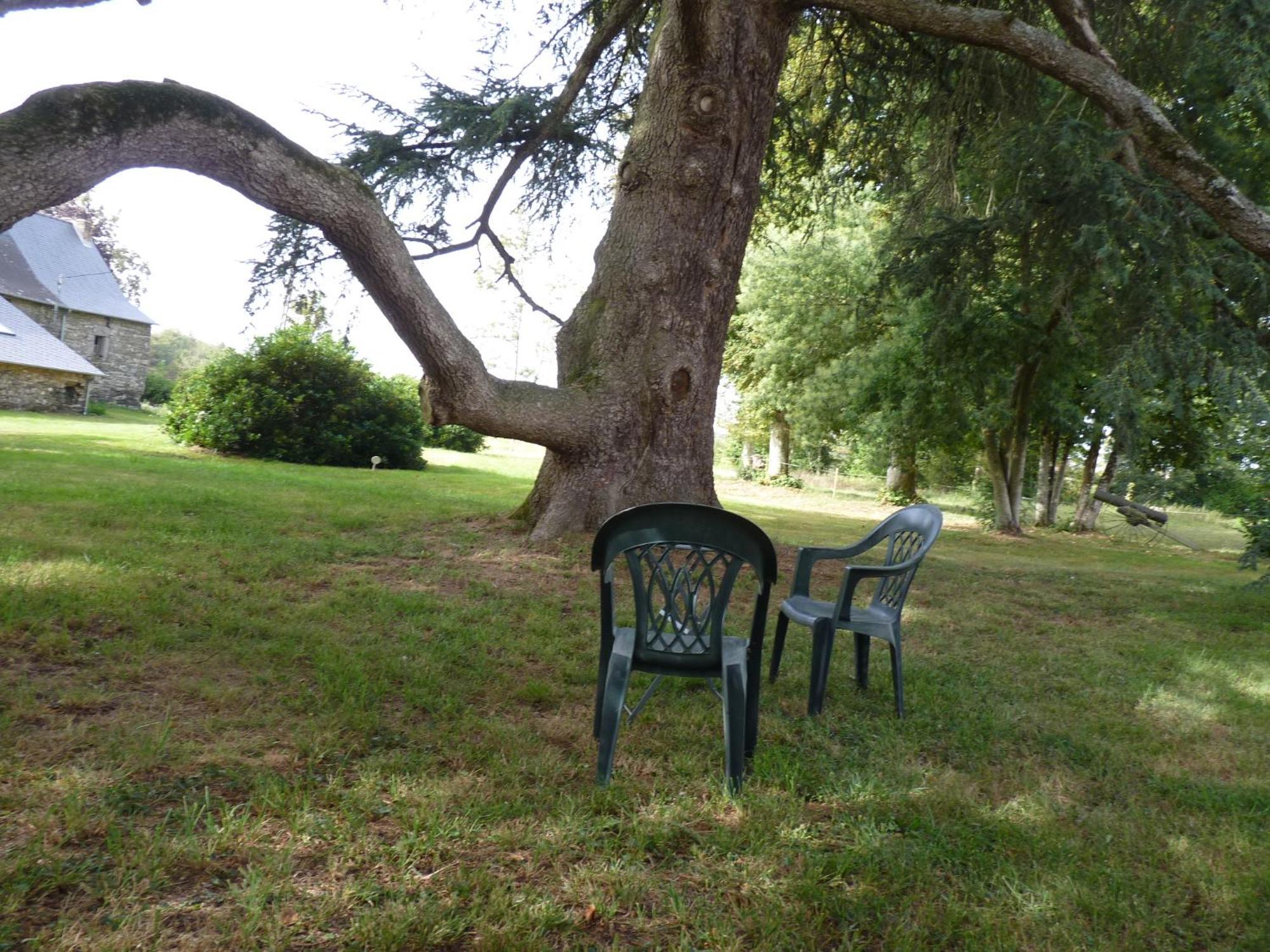 Chateau De Craon Comblessac Екстериор снимка